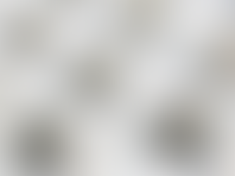 Blue Nova: Your Path to Prime Online Real Estate