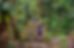 Ciudad Perdida | Travel Modules | Newtours Colombia
