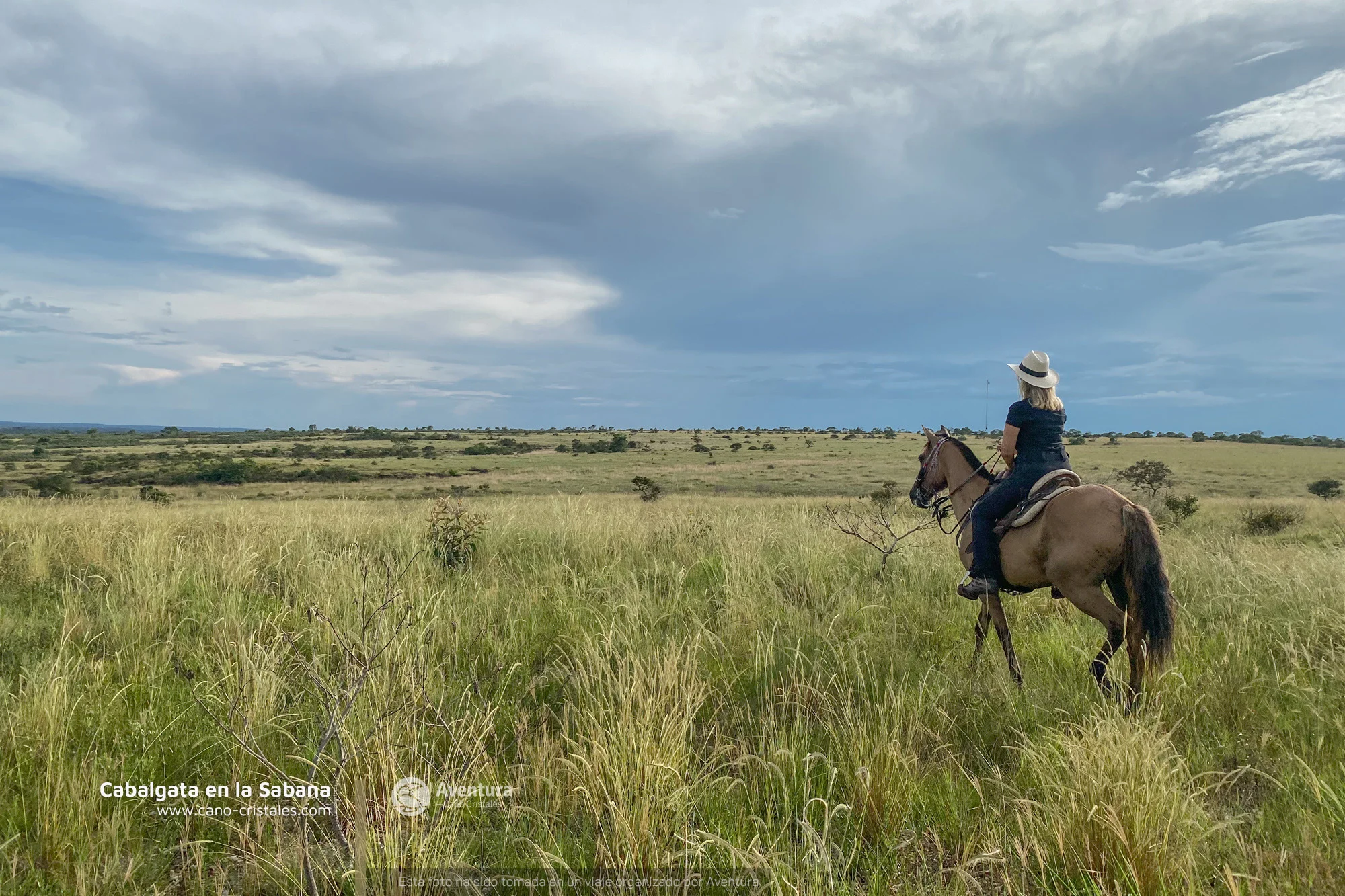 Horse Riding La Macarena Colombia Cano cristales