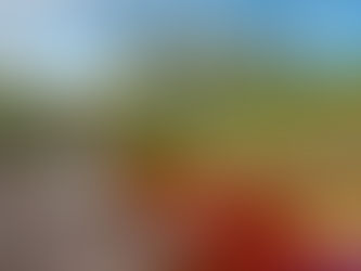 Cano Cristales Tours Colombia