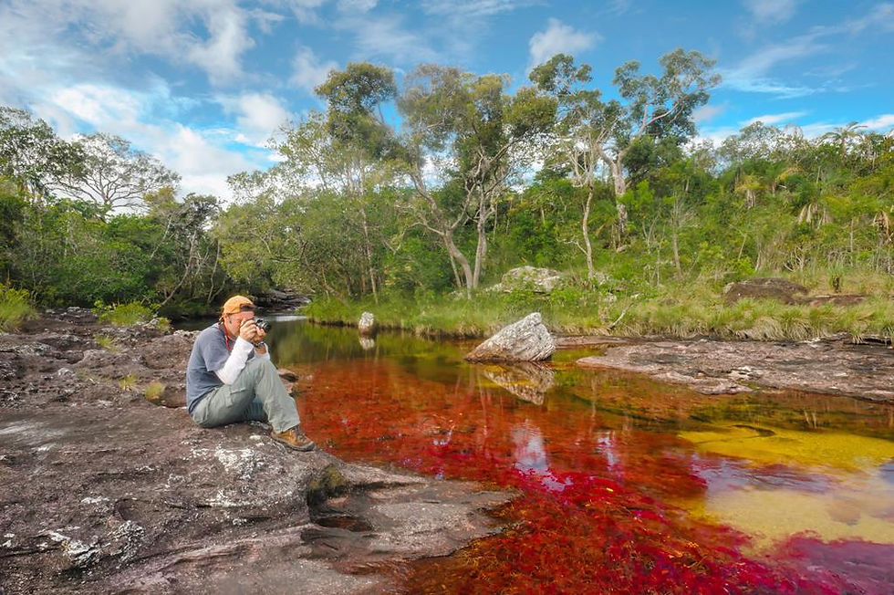 Eye-level view of Cano Cristales river with vibrant colors flowing through the landscape
