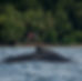 Hostel from the ocean.jpg