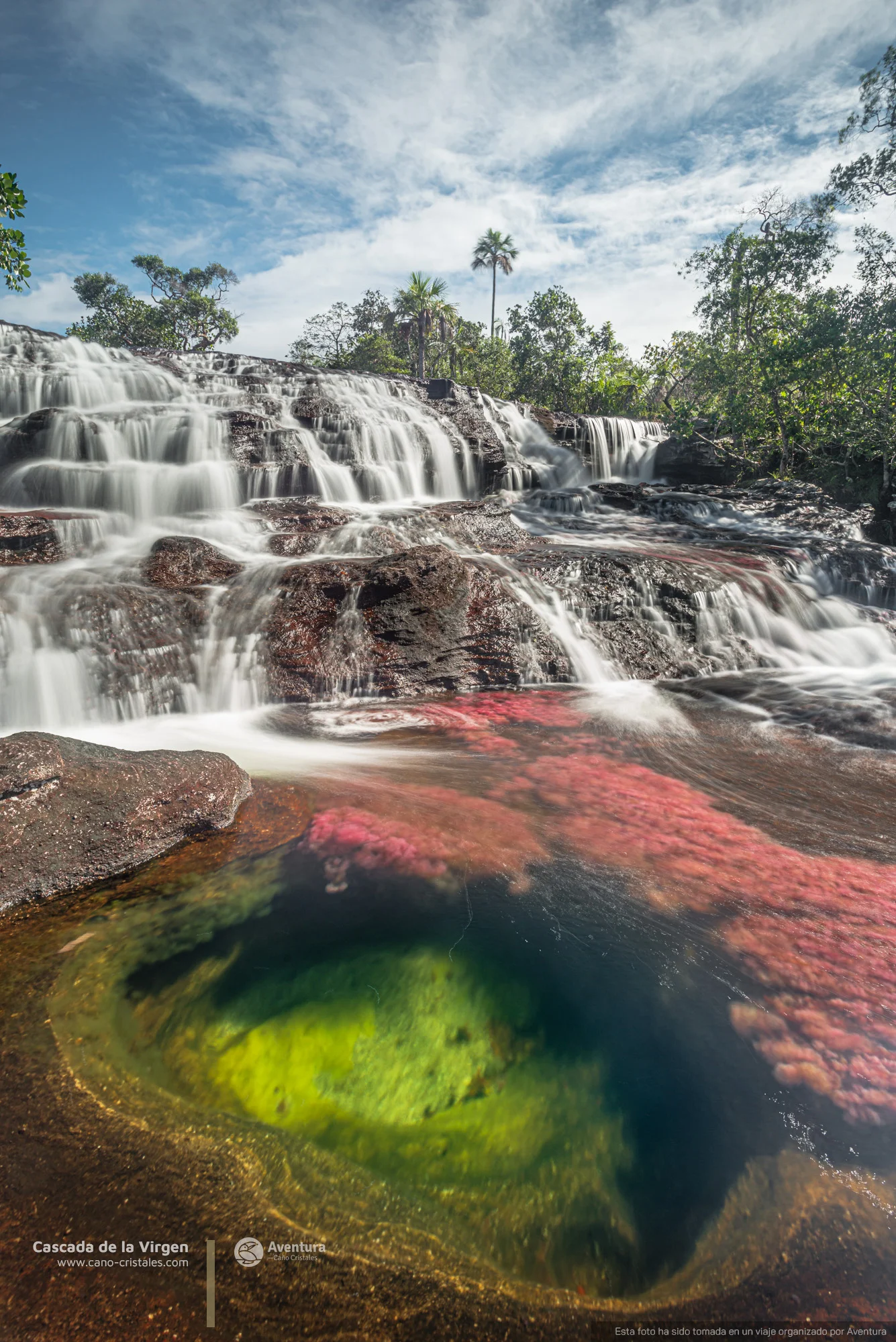 Cano Cristales Colombia