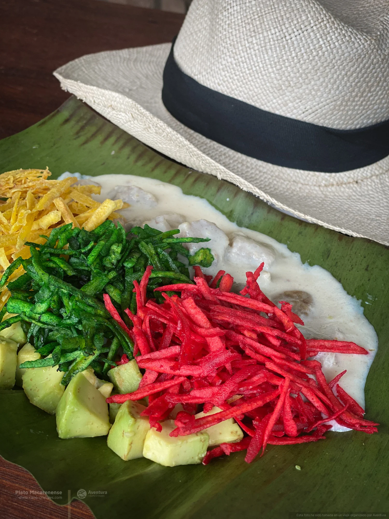 Tours in La Macarena Colombia Cano cristales
