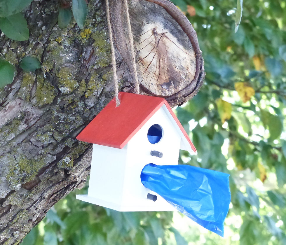 Thumbnail: Birdhouse Doo Doo Dispenser