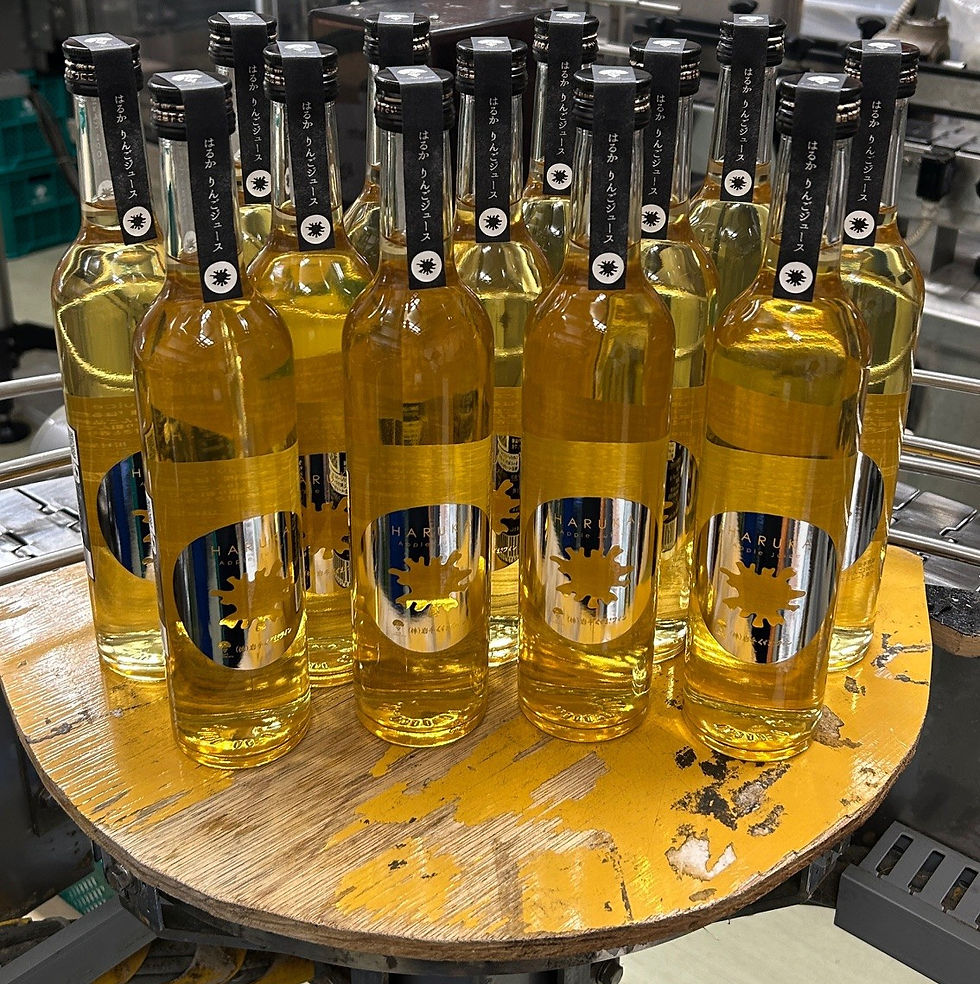 最終的に出荷するワイン