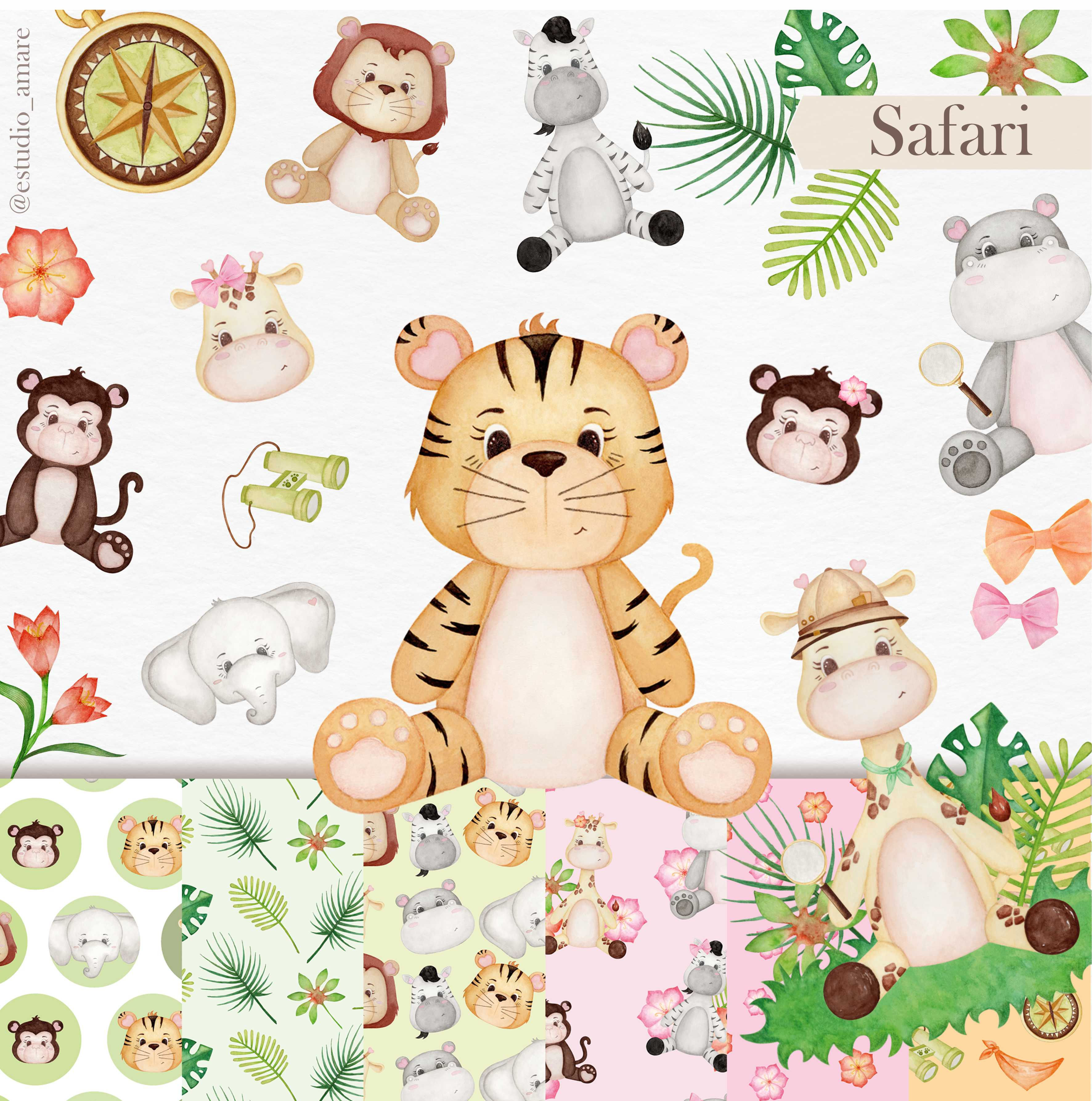 Kit Digital - Safari