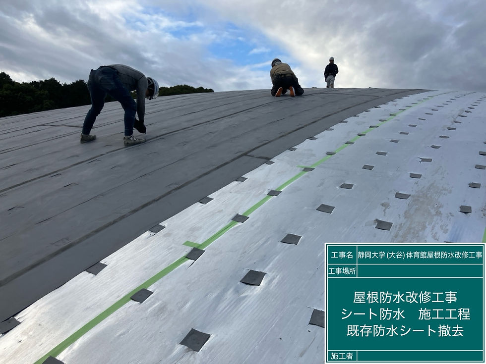 静岡大学(大谷)体育館屋根防水改修工事