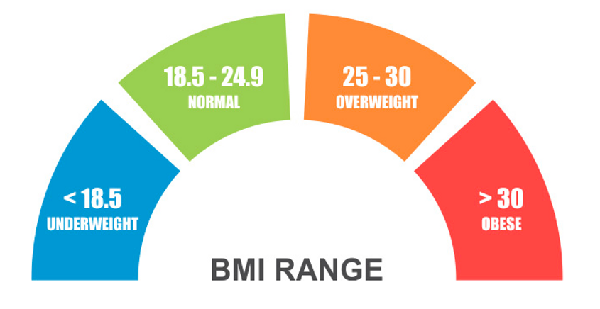 Simple App using python: Body Mass Index (BMI) calculator