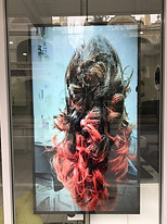 1x1 Video Display Screen