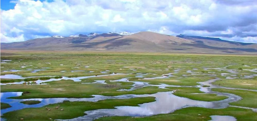 salinas aguada blanca reserve