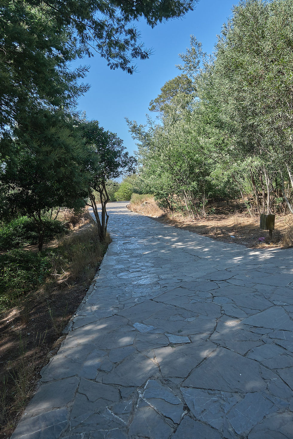Villa Perdicaris - IEA Architecture