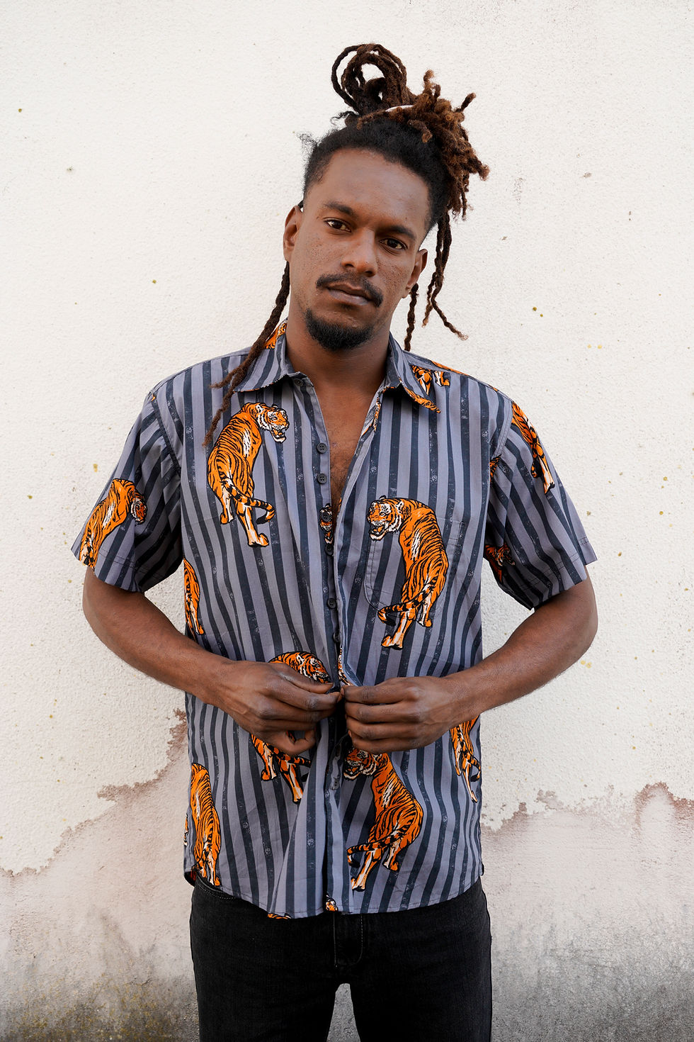 Thumbnail: Striped Tiger