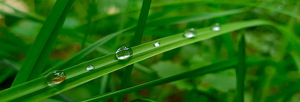 ISO_14001_11.jpg