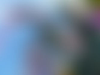 三菱ランサーエボリューション10のステアリングホイール