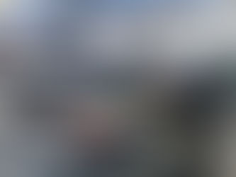 Deko-Kennzeichen Final Edition