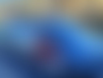 Verdunkelte Scheiben