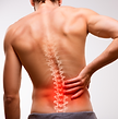 lower-back.png