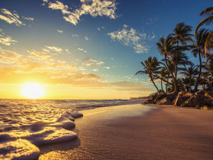 Finding Paradise: The Key to Happiness? Just DO IT!