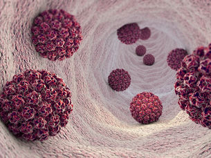 STDs/STIs