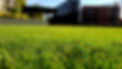 lawn care image 3.jpg