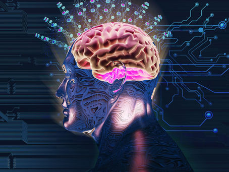 sovraccarico informativo