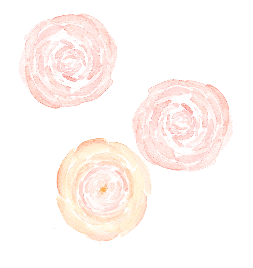 Pink Poppy Flowers