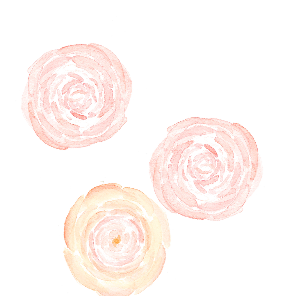 Pink Poppy Flowers