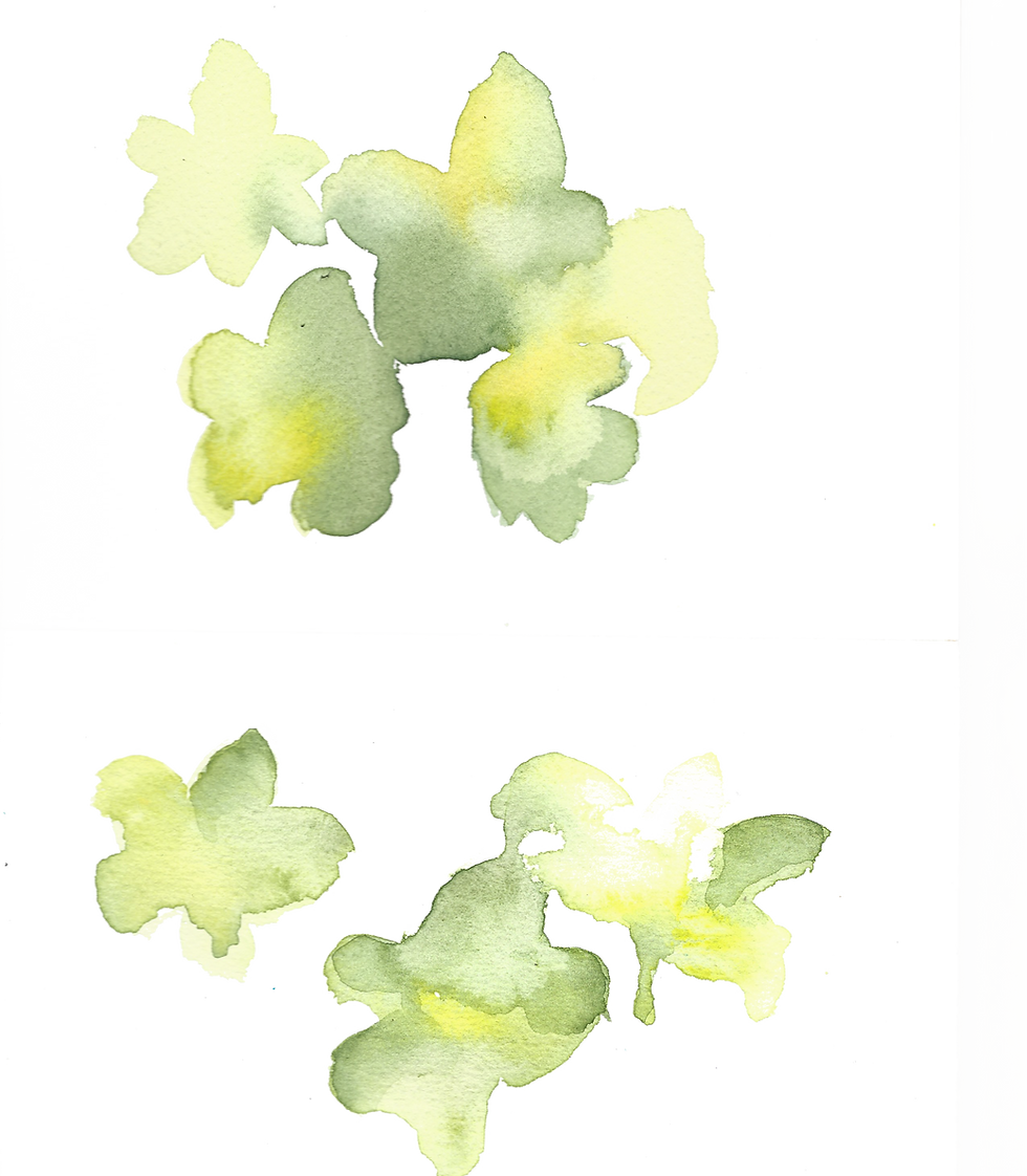 Floral_WaterColors_B.png