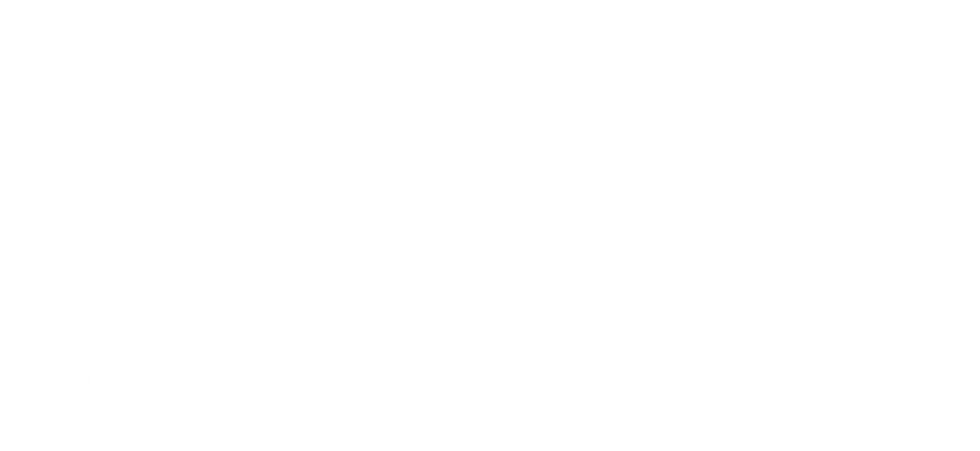 Logotipo de Vidaa WH Z 2023 nuevo.png