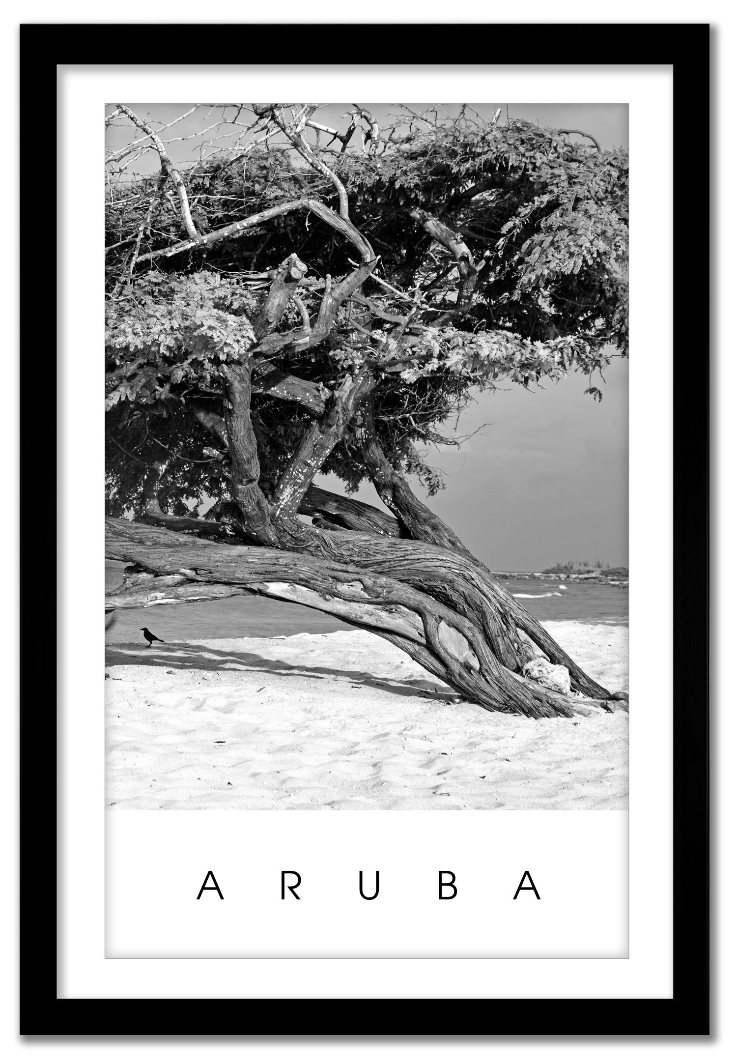 ARUBA