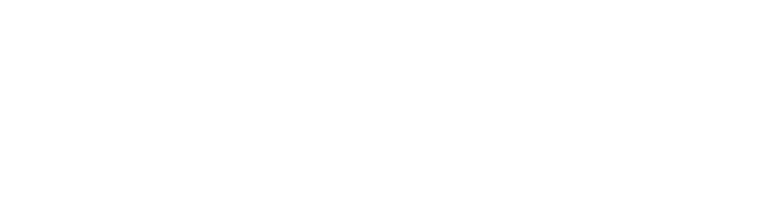 Verasti logo in white