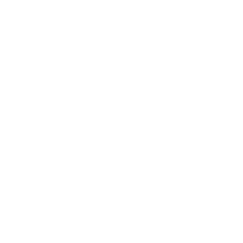Veroni logo.png