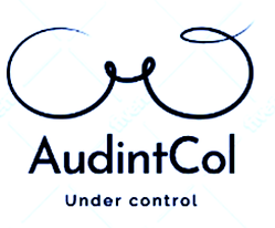Logo AudintCol2.png