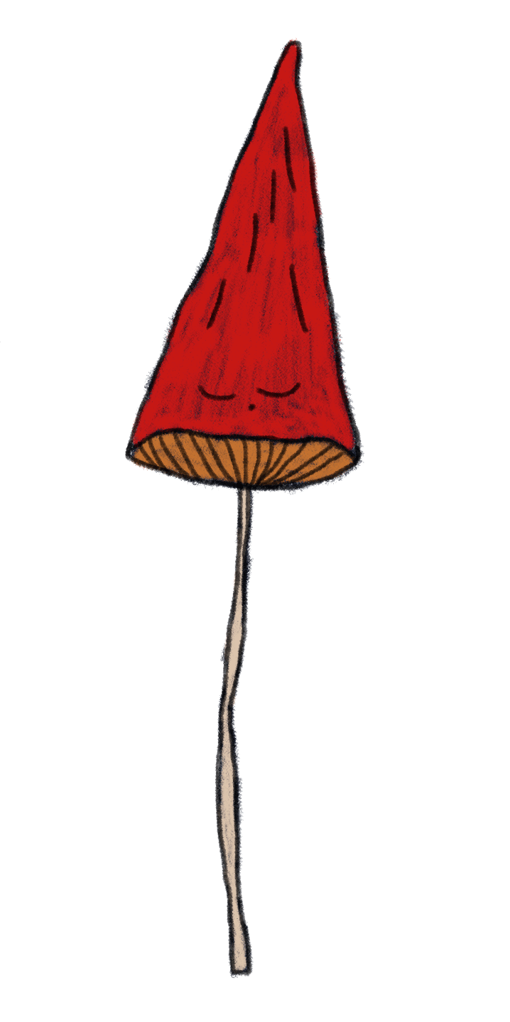 champis-rouge-gif-2.gif