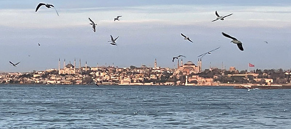 Istanbul 2023.jpeg