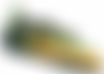 La Sportiva Kids' Stickit Rock Climbing Shoe