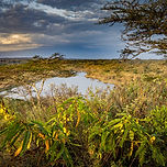 Arusha Nationalpark (8).jpg