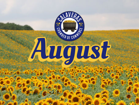 August 1st 2025 - Newsletter