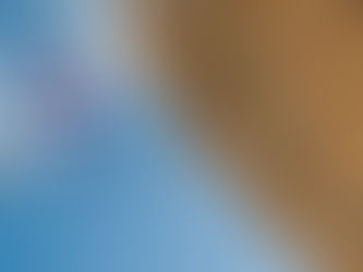 June 1st 2025 - Newsletter