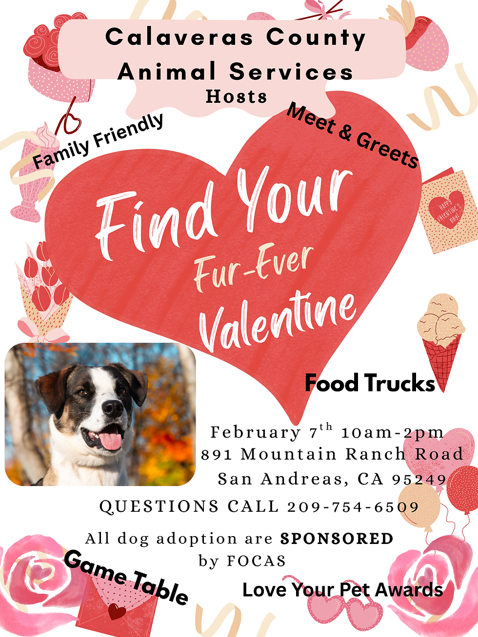 2nd Annual Animal Shelter Speed Dating for Dogs - Calaveras County Animal Services