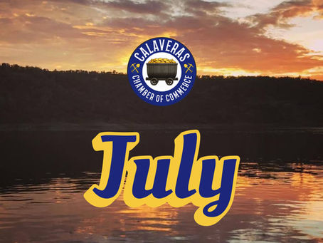 July 15th 2025 - Newsletter