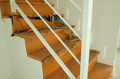 Wooden stairs destroy by termite.jpg