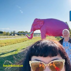 Pink Elephant Antique Mall
