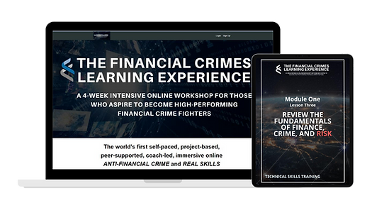 the financial crime course