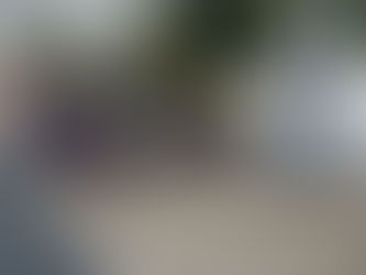 Cérémonie du 11 novembre 2023