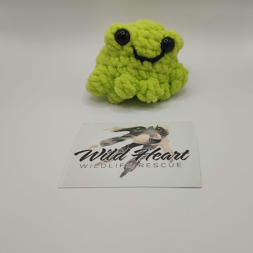 Thumbnail: Cheeky Frog (pick color) & sticker 