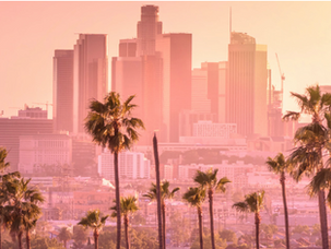 🇺🇸Store Tour Luxurytail