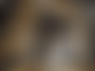 Les temps forts de la rentrée