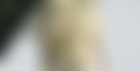 Actualités du Luxe du mois de Mars 2026 ( Partie 1 ) 